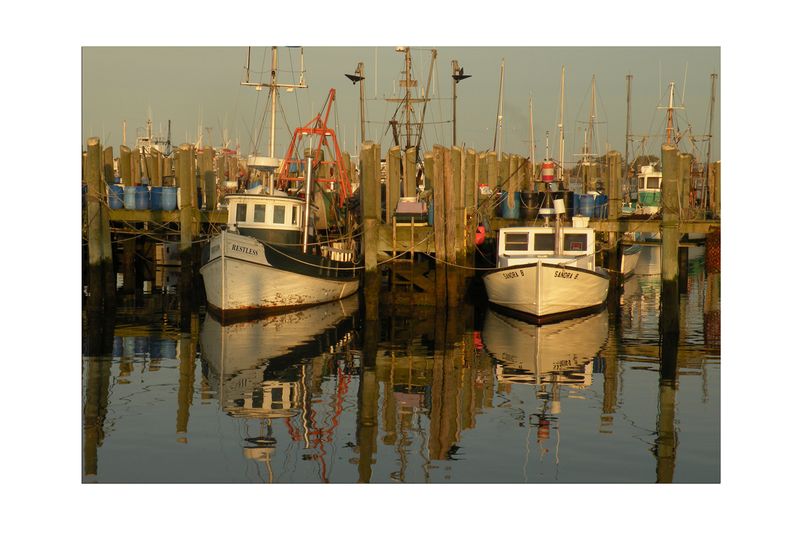 Still Waters 1.jpg