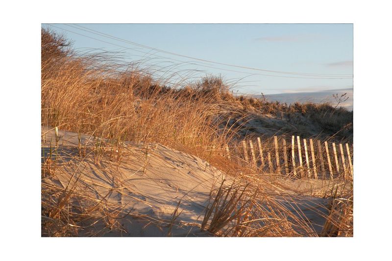 Sunrise on the Dunes.jpg