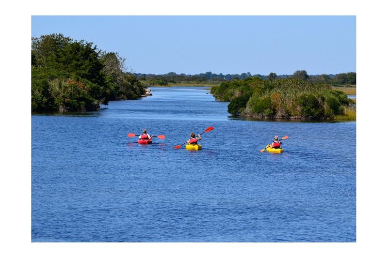 Three Kayaks.jpg