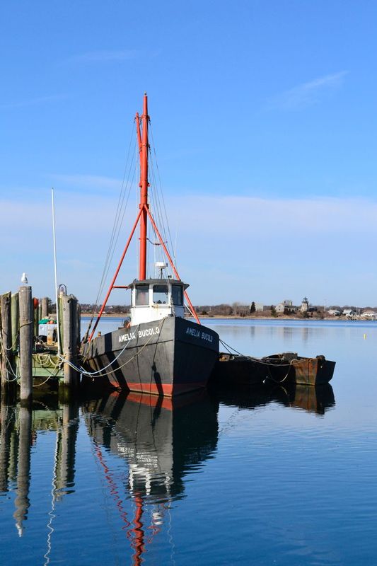 W540.jpg :: Reflections, the F/V Amelia Bucolo