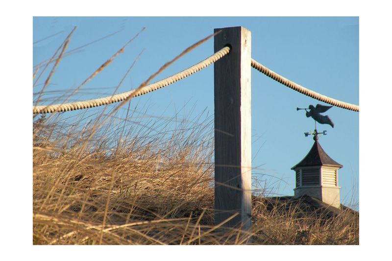 Weathervane.jpg