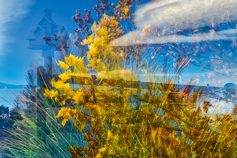 Autumn Moods.jpg :: Autumn Moods
