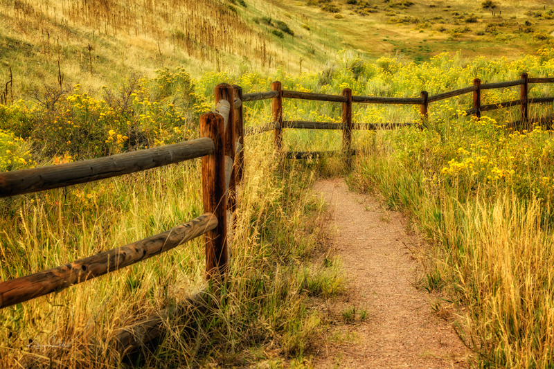 Autumn Stroll.jpg :: Autumn Stroll