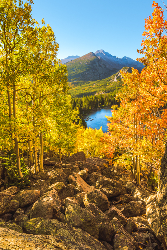 Bear Celebrating Autumn Update.jpg :: Early morning autumn glow high above Bear Lake, Rocky Mountain National Park, Colorado, USA. Longs Peak stands high above at a lofty 14,259' above sea level. She Colorado's northernmost \