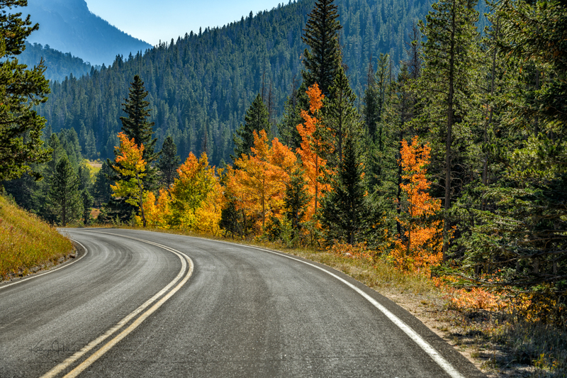 Brilliant Travels.jpg :: Brilliant Travels