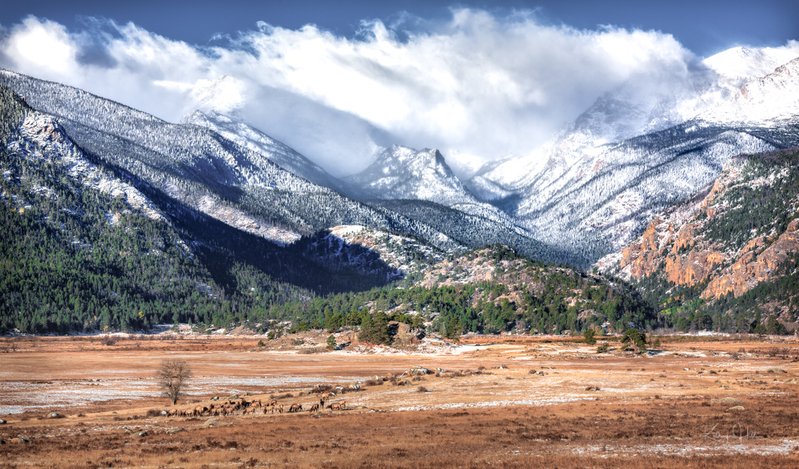 Classic Moraine.jpg :: A classic, iconic view of Rocky Mountain National Park's Moraine Park and the snow-shrouded Continental Divide; complete with a harem of elk during the annual rut.