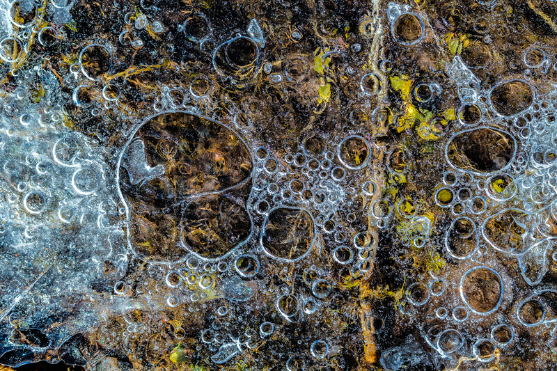 Colorful Icy Bubbles.jpg :: Abstract ice reveals amazing patterns, offering the essence of winter