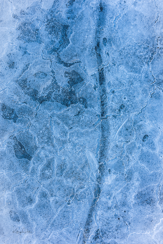 Ice Map.jpg :: A close and personal look at nature's beautiful creations in ice.