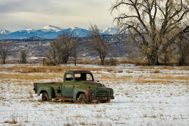 International L 120.jpg :: An old broken International pickup truck sits alone in a snowy field, Larimer County, Colorado