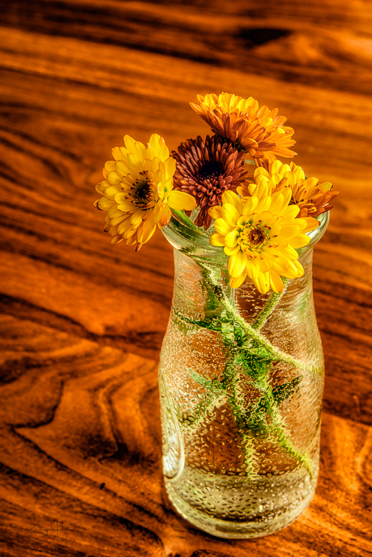 Mums and Wood Grain.jpg :: Mums and Wood Grain