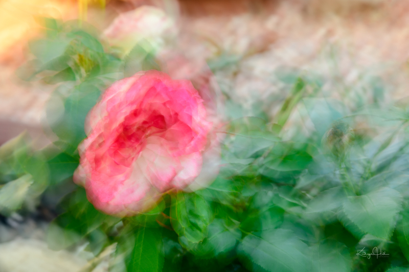 Pastel Layers.jpg :: Pastel Layers