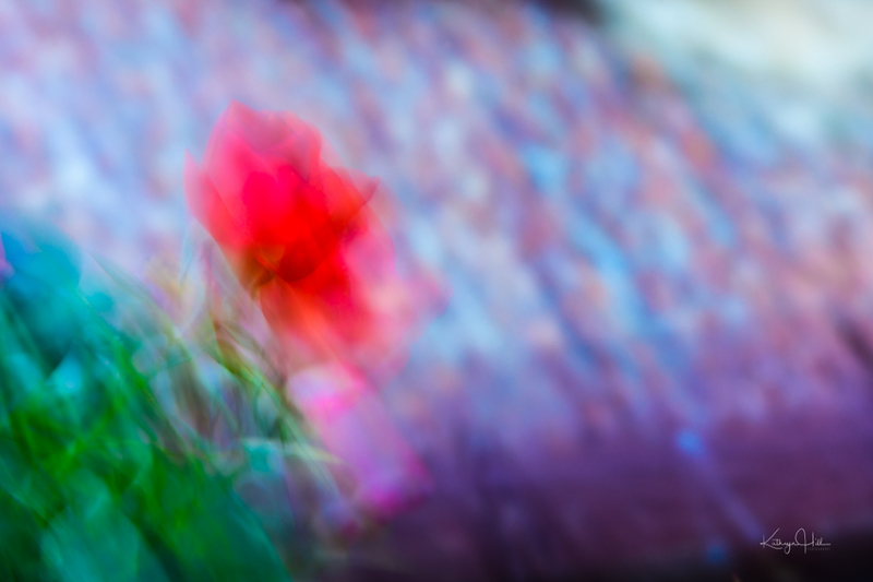 Pastel Movement.jpg :: Pastel Movement