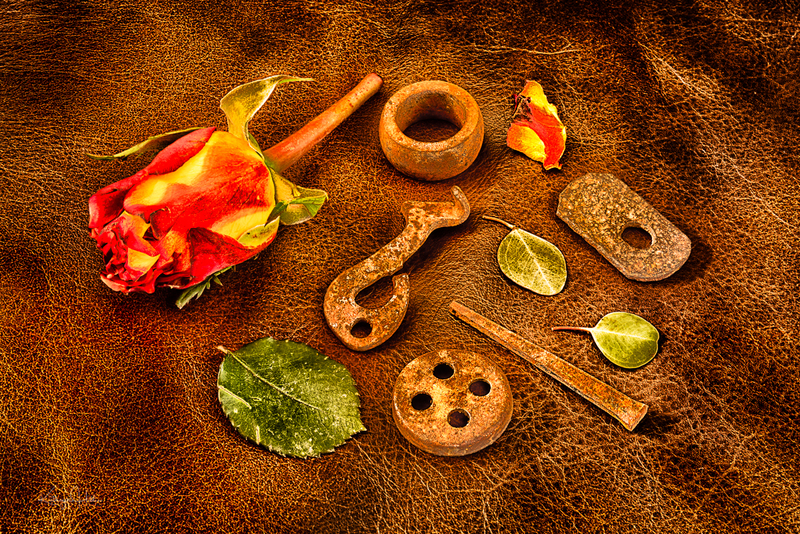 Roses and Rust on Leather.jpg :: Roses and Rust on Leather