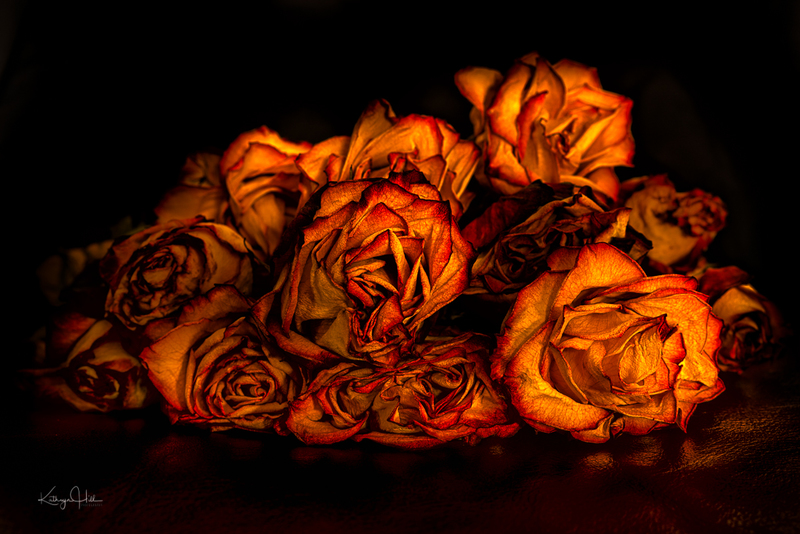 Roses by Candlelight.jpg :: Roses by Candlelight