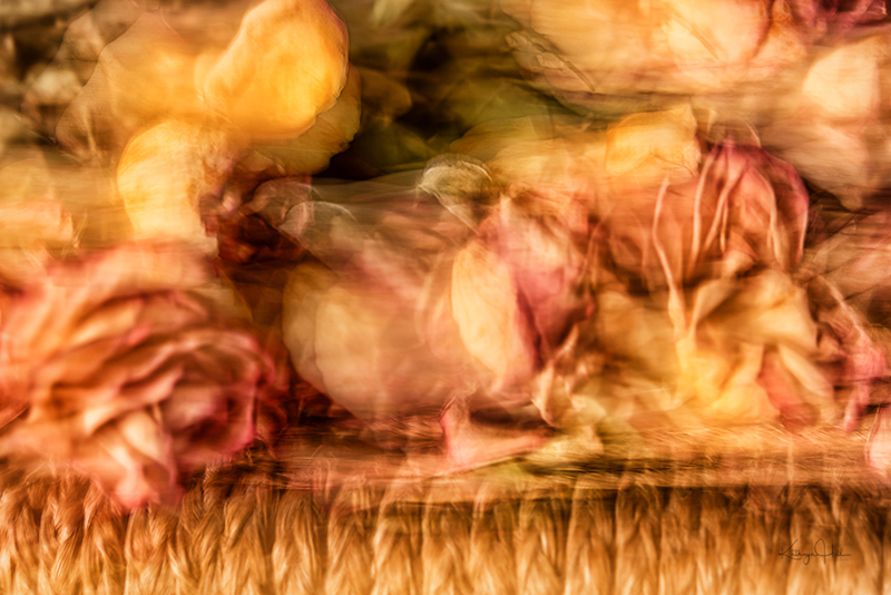 Roses on Rope.jpg :: Roses on Rope