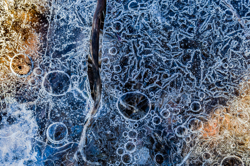 Twig in Ice.jpg :: Abstract ice reveals amazing patterns, offering the essence of winter