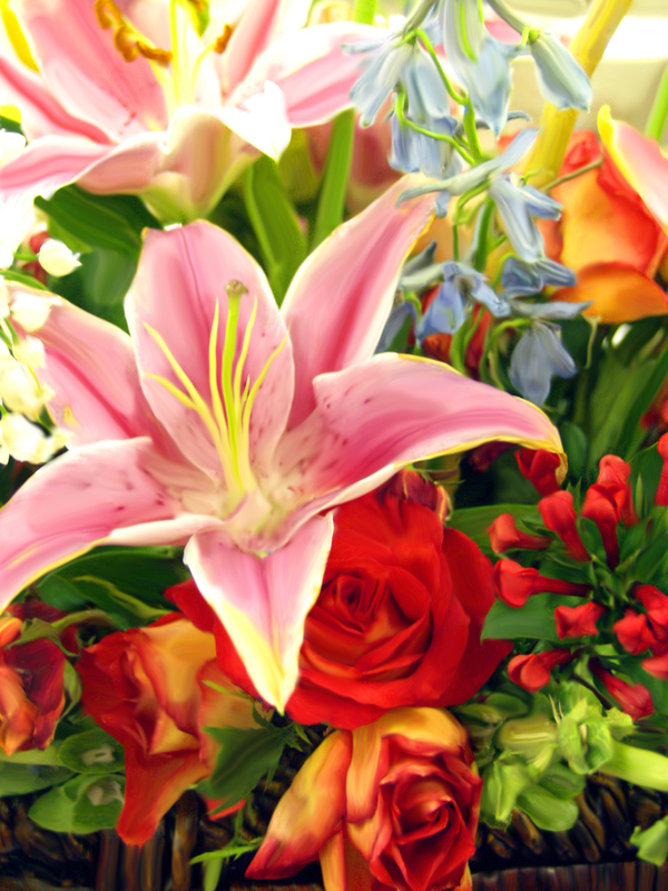 Floral 4.jpg :: OLYMPUS DIGITAL CAMERA