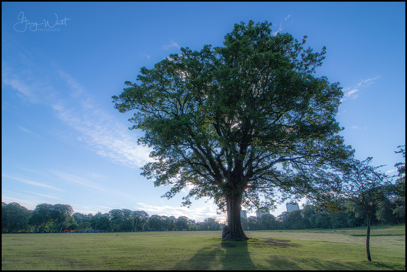 seaton (2).jpg :: Seaton Park, Aberdeen, Scotland.