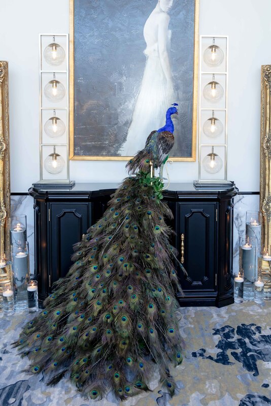 SJB lo-res-100001(1).jpg