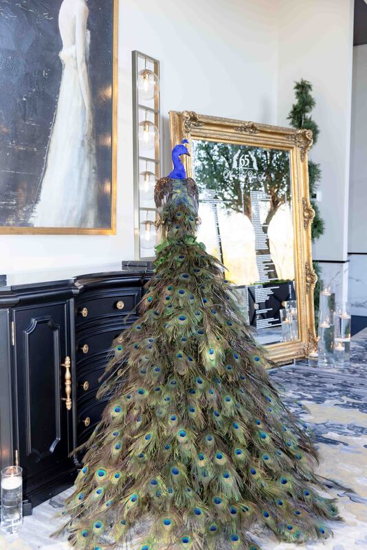 SJB lo-res-100023.jpg