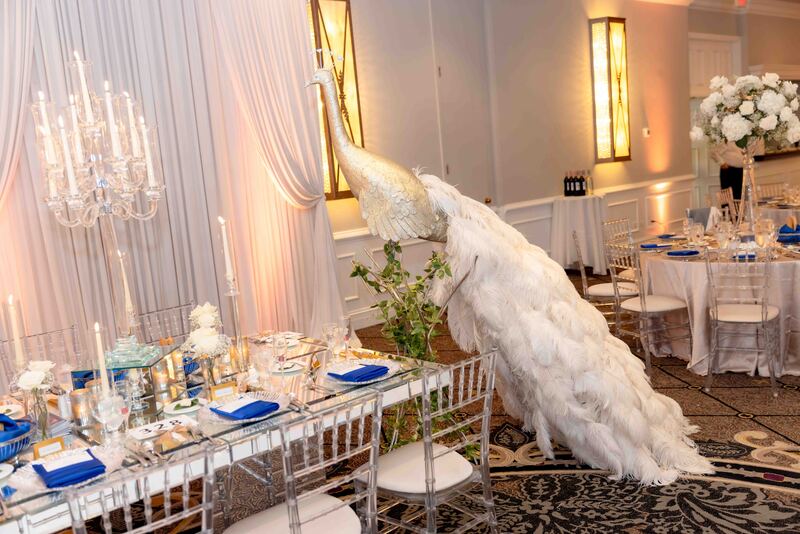 SJB lo-res-100066.jpg