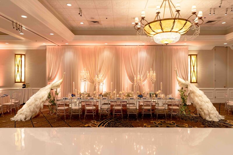 SJB lo-res-100075.jpg