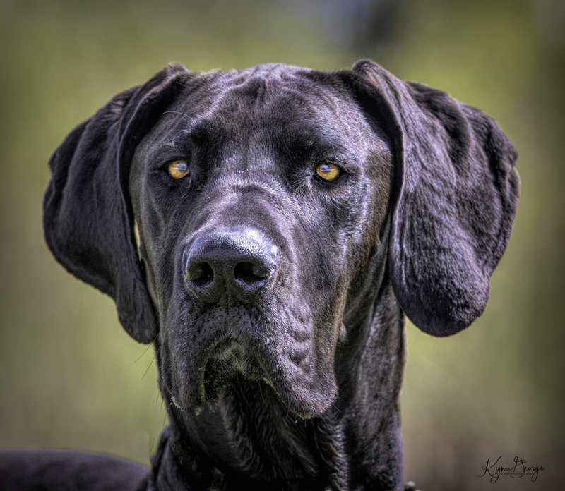 _V9A9510hdr(1).jpg