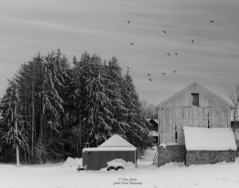 0H4A0053-Edit(1).jpg