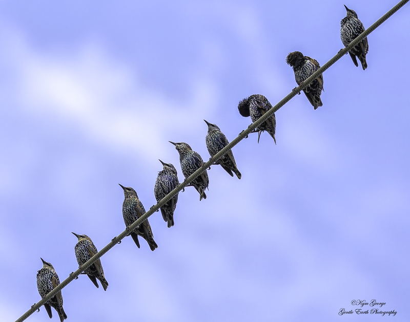 0H4A0079-Edit.jpg