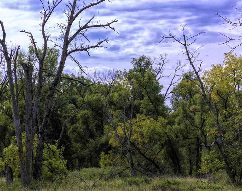0H4A0125-Edit(1).jpg
