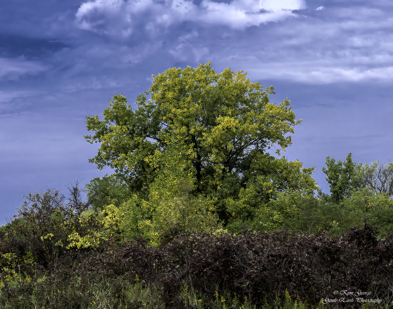 0H4A0151-Edit(1).jpg