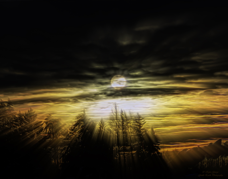 0H4A0156-Edit(1).jpg