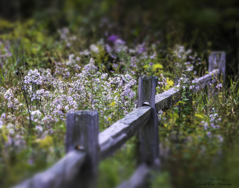 0H4A0163-Edit(1).jpg