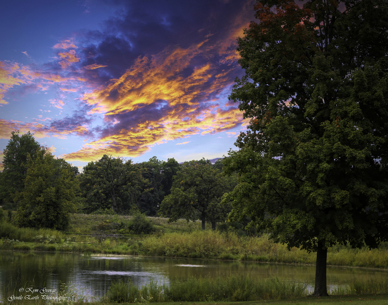 0H4A0200-Edit.jpg