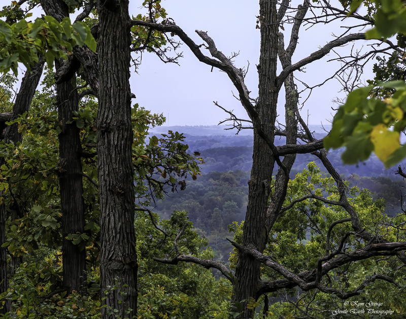 0H4A0276-Edit.jpg