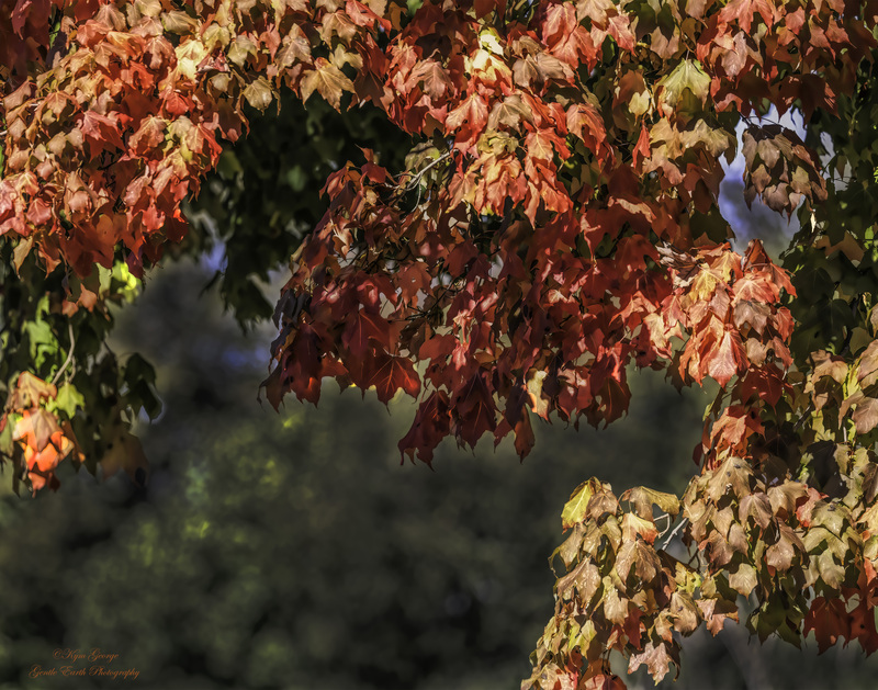 0H4A0455-Edit(1).jpg