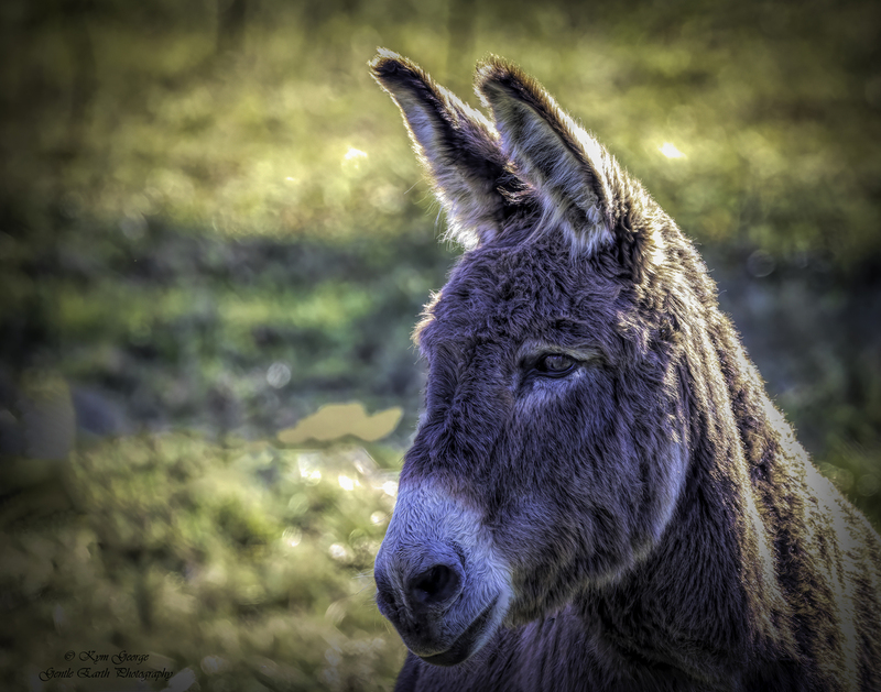 0H4A0641-Edit(1).jpg