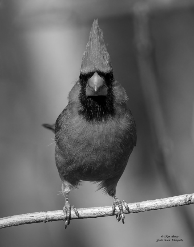 0H4A0792-Edit.jpg