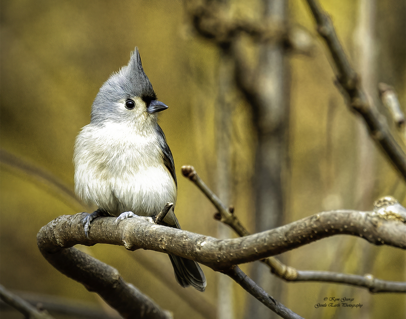 0H4A0803-Edit(1).jpg