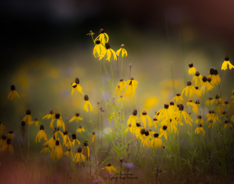 0H4A0866.jpg