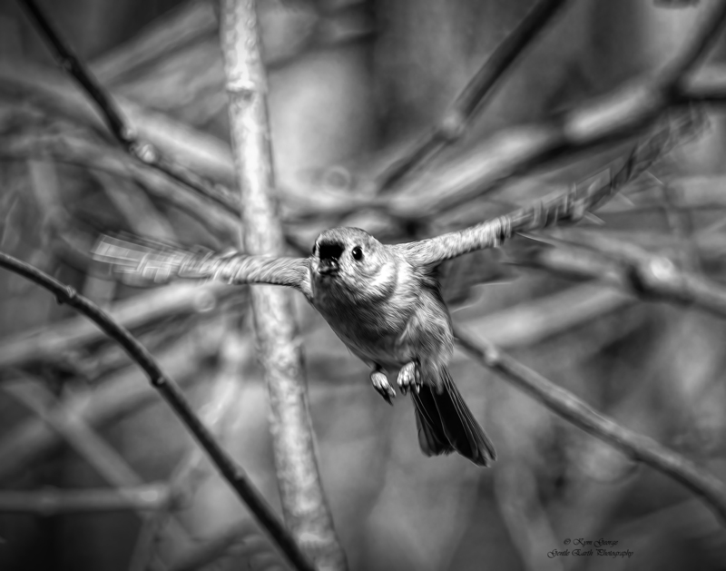 0H4A0883-Edit(1).jpg
