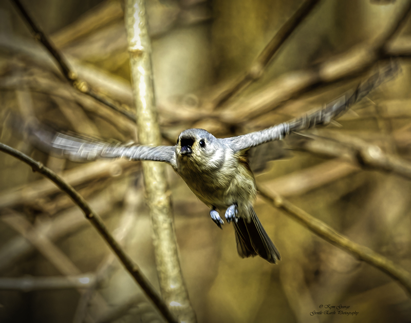 0H4A0883-Edit.jpg