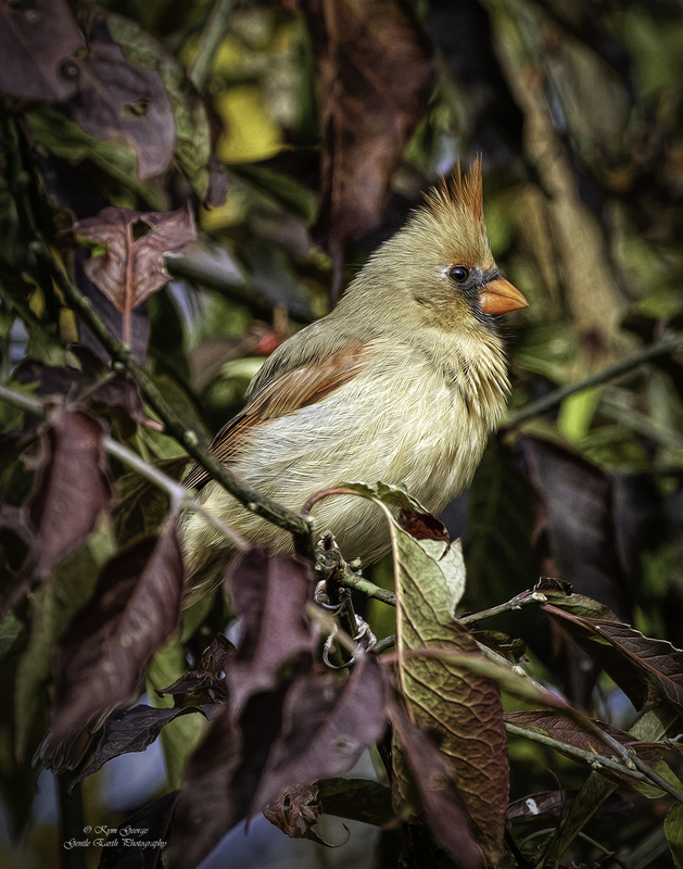 0H4A0954-Edit(2).jpg