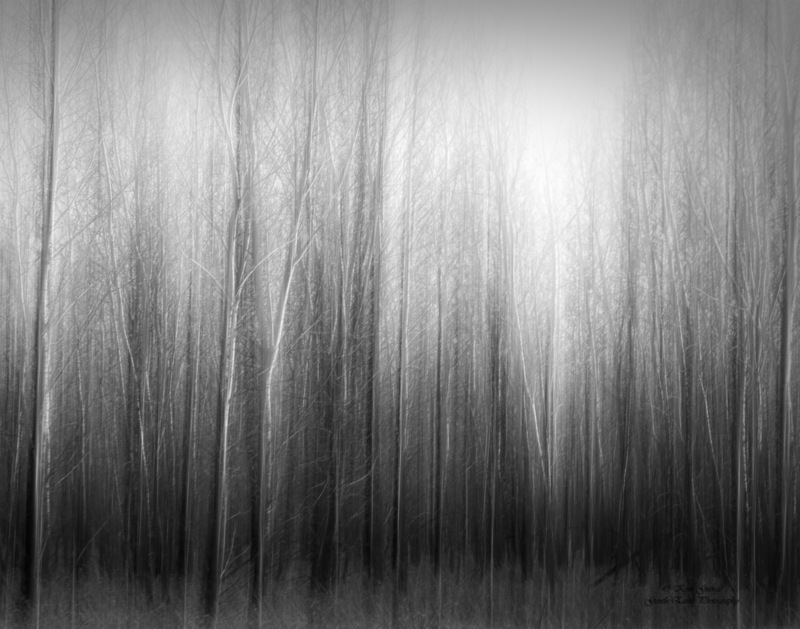 0H4A1045-Edit(3).jpg