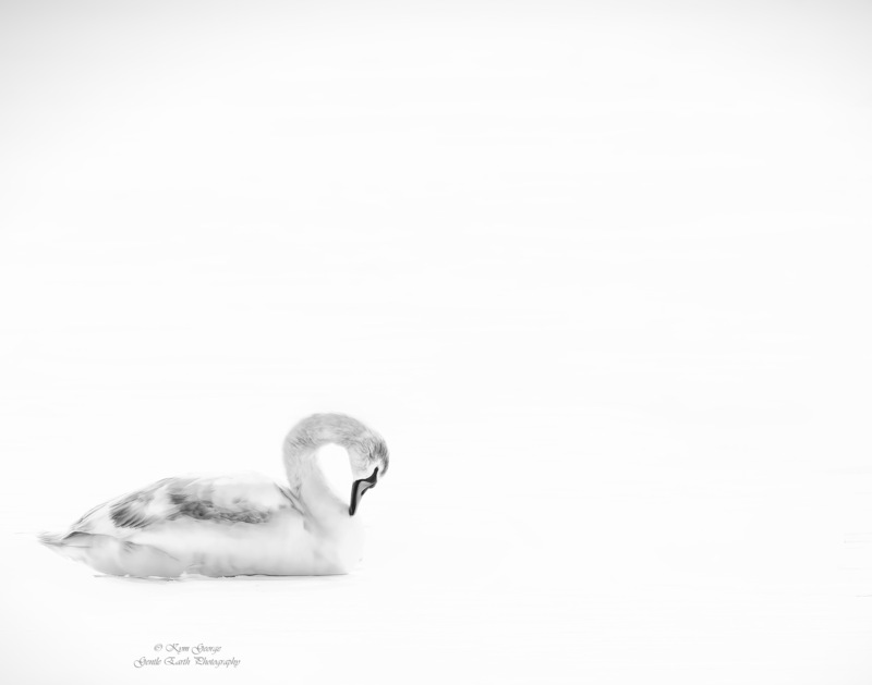 0H4A1078-Edit.jpg