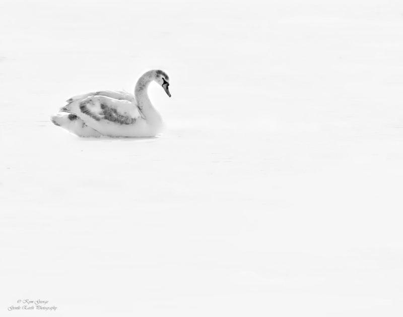 0H4A1084-Edit.jpg