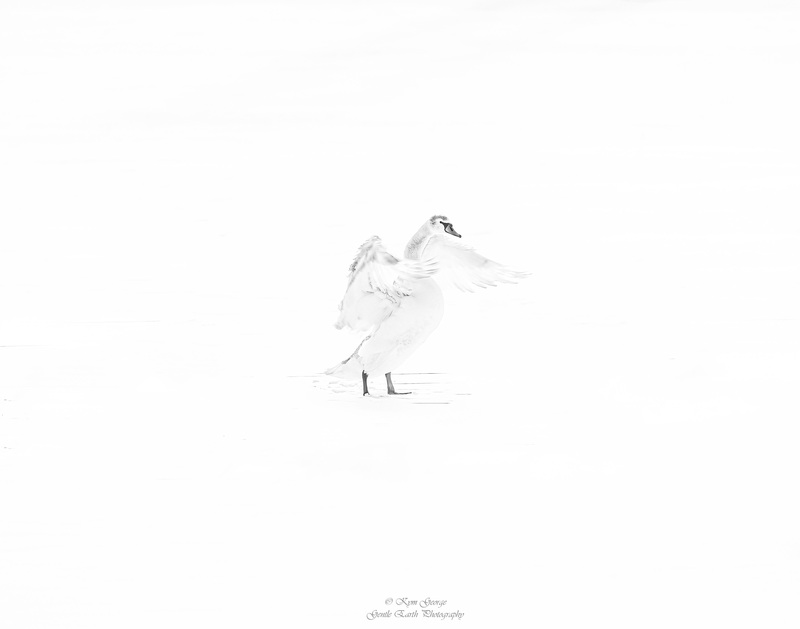 0H4A1099-Edit(2).jpg