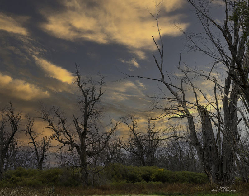0H4A1259-Edit.jpg