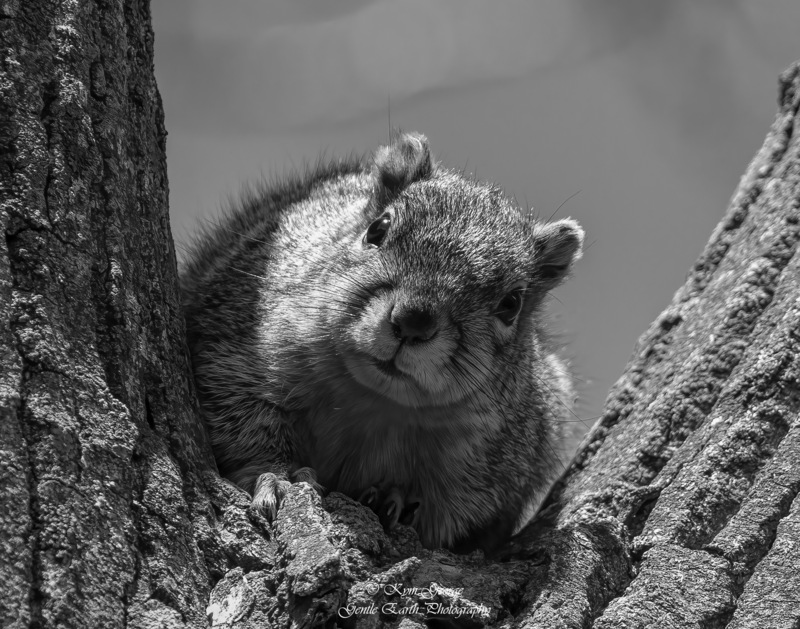 0H4A1271-Edit.jpg