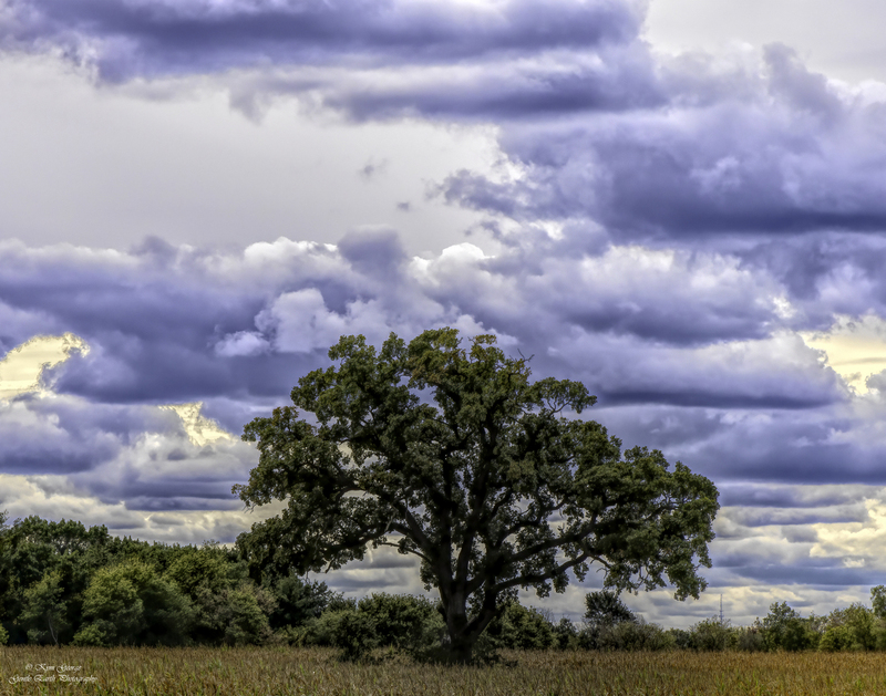0H4A2050-Edit(1).jpg